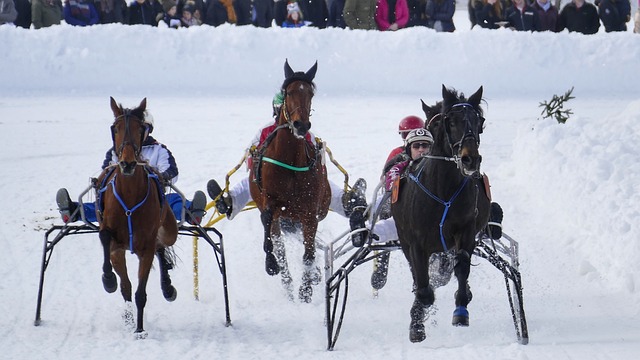 很多病是从“失眠”开始的！3个药，专治入睡难，做梦多，半夜醒.