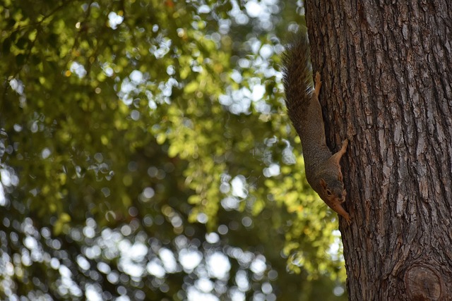 美国国际开发署2000名员工将被解雇.