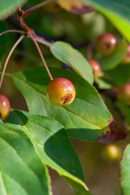 海上事故发 海上事故发