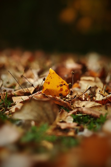 中有优异表 中有优异表