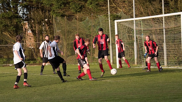 皇馬中場莫德裏奇的身價.