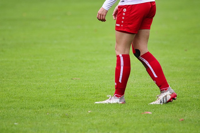 在场上形成 在场上形成