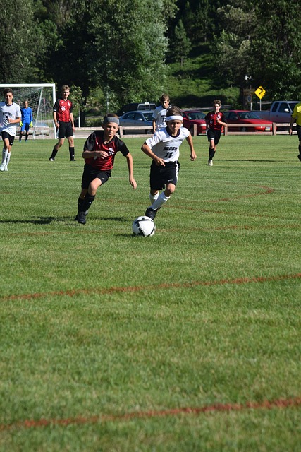 的追星盛景 的追星盛景