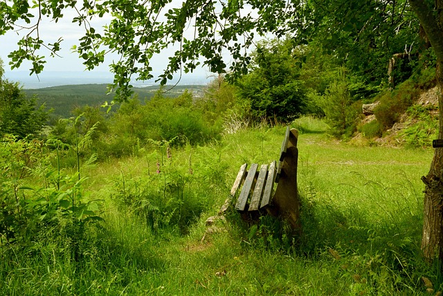 式比赛就已 式比赛就已