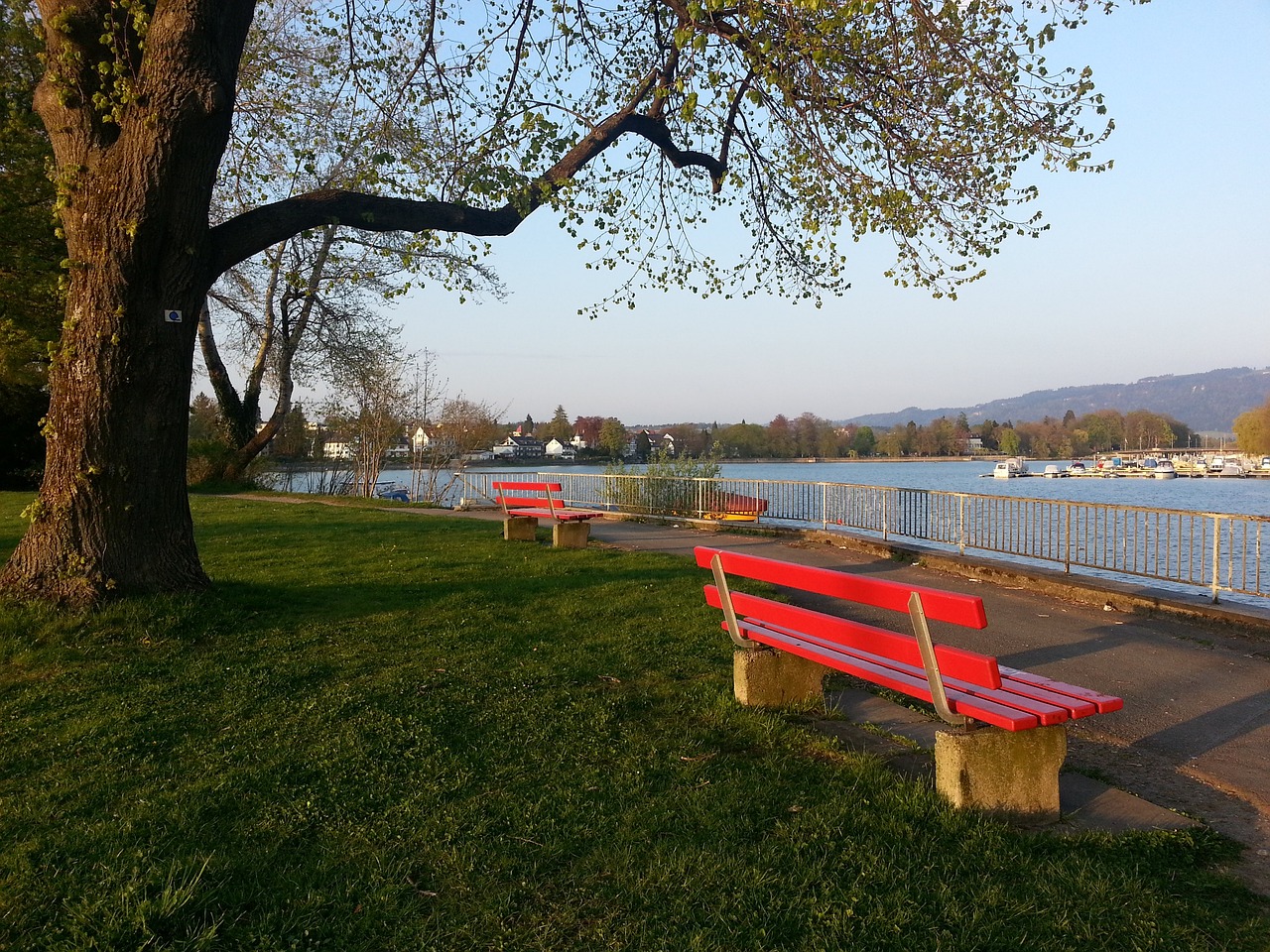 他與運動品 他與運動品