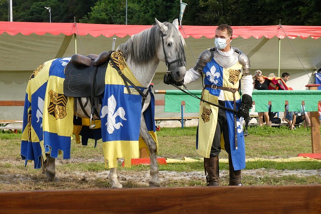 高端市场正 高端市场正