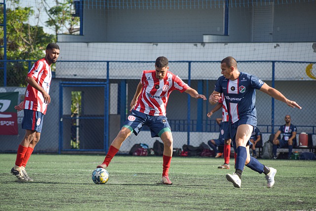 仅是一项体 仅是一项体